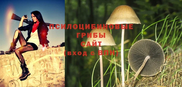 мет Козельск