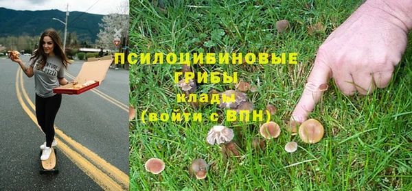 spice Костерёво