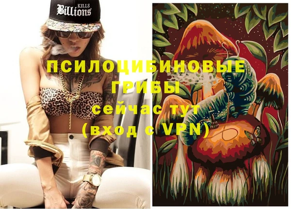 первитин Киреевск