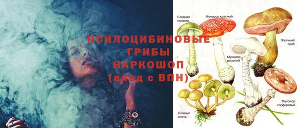 тгк Козловка