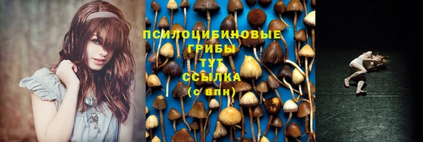МДМА Кодинск