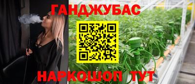крисы Будённовск