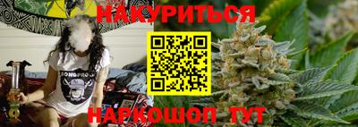 крисы Будённовск