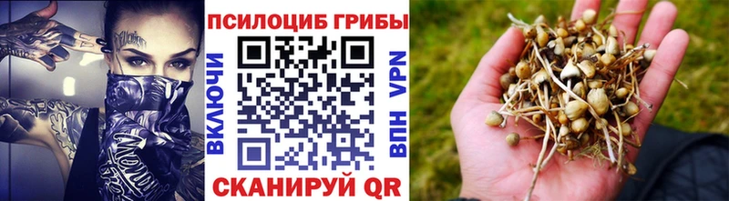 KRAKEN рабочий сайт  Кизилюрт  Псилоцибиновые грибы Cubensis 