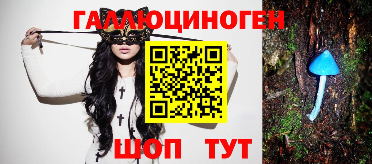 Галлюциногенные грибы прущие грибы  Кизилюрт 