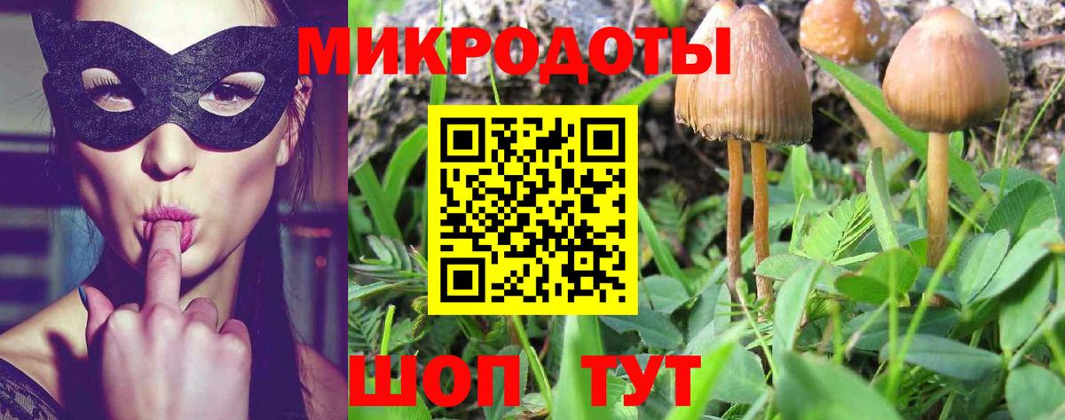 Галлюциногенные грибы GOLDEN TEACHER Кизилюрт